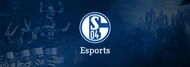 Image via FC Schalke 04